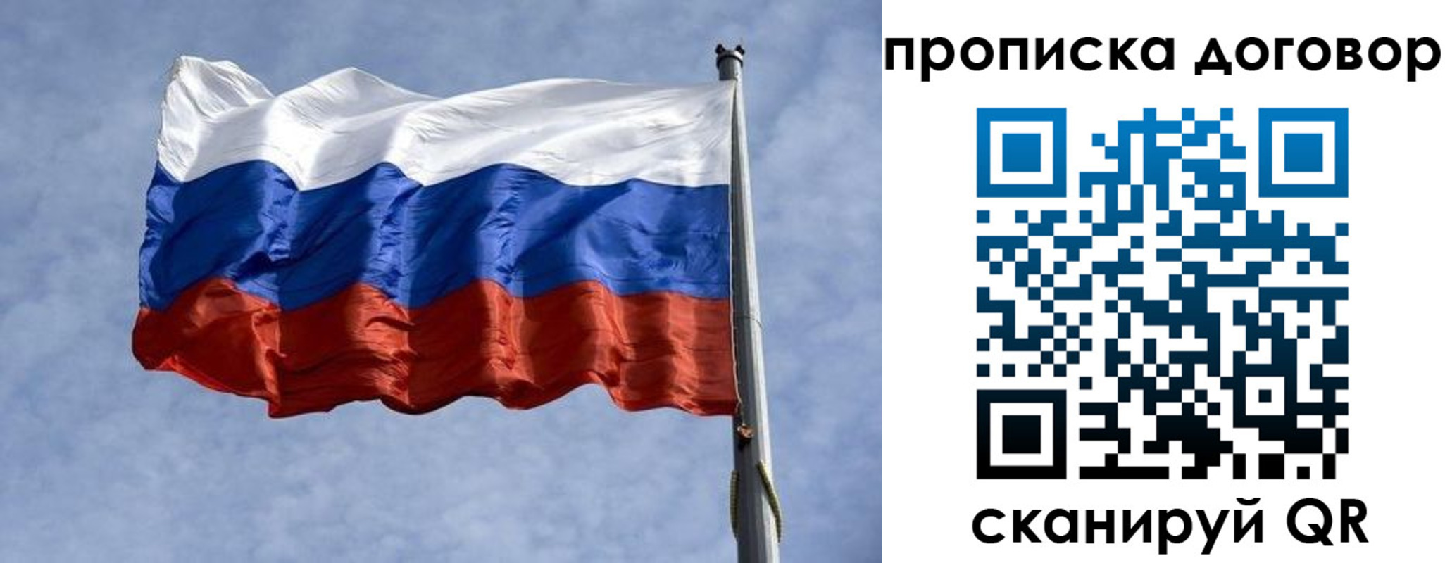 купить прописку в Коле